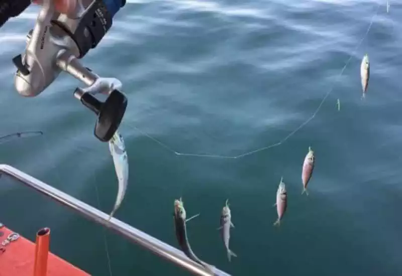 Balık Ziyafeti