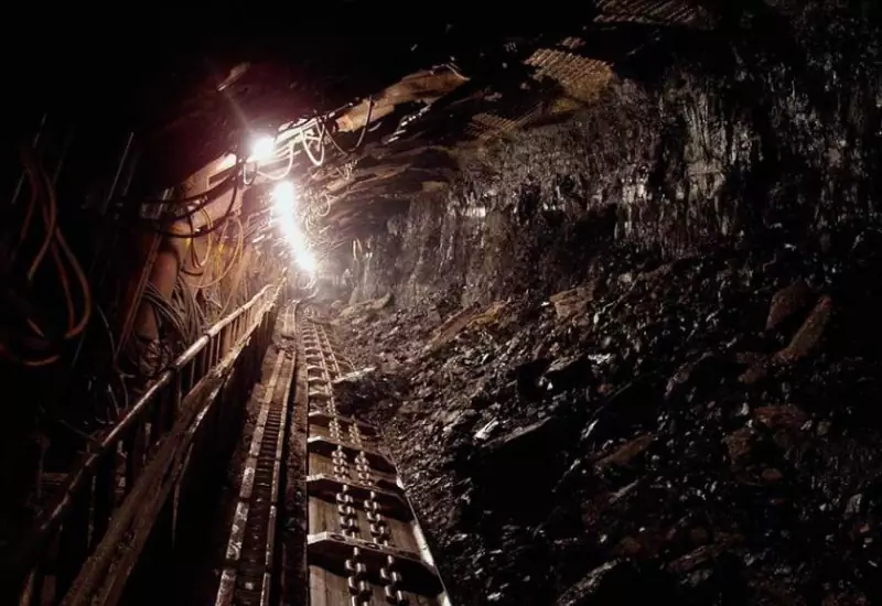 Batı Karadeniz Maden Felaketi  (Bartın Amasra Grizu Patlaması)