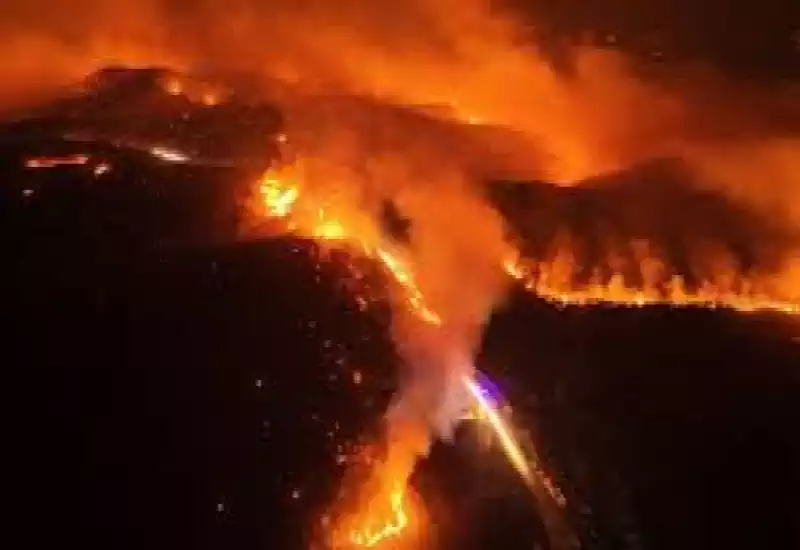 Bu kadar