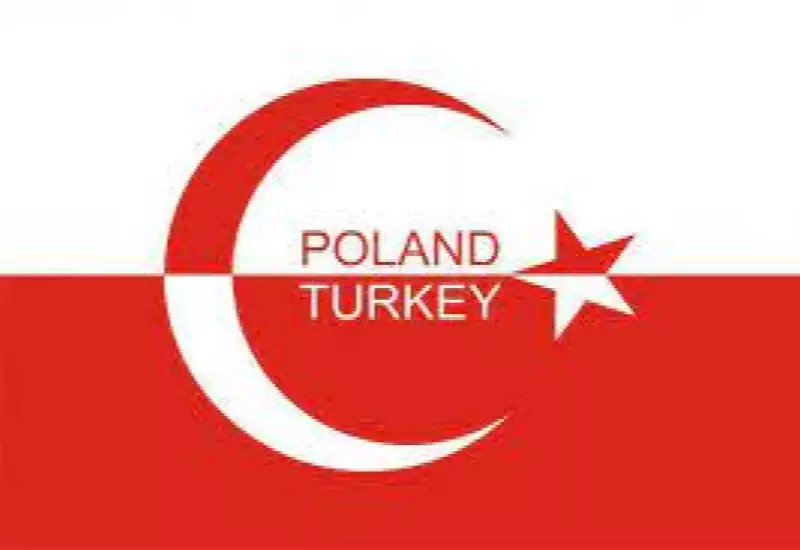 Türkiye ve Polonya’nın Ortak Silah Projesi