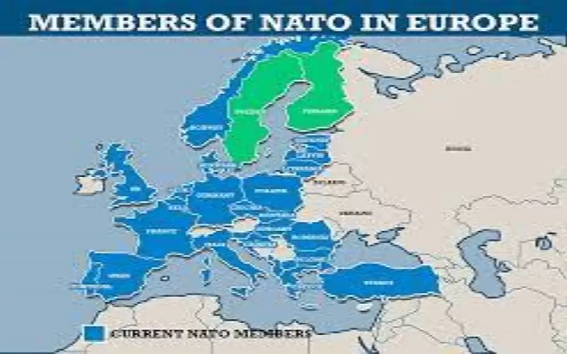 İsveç ve Finlandiya NATO’ya Üye Olacaklar mı? 
