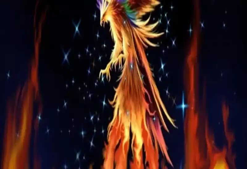 Anka Gibi Her Ağustos’ta Yeniden