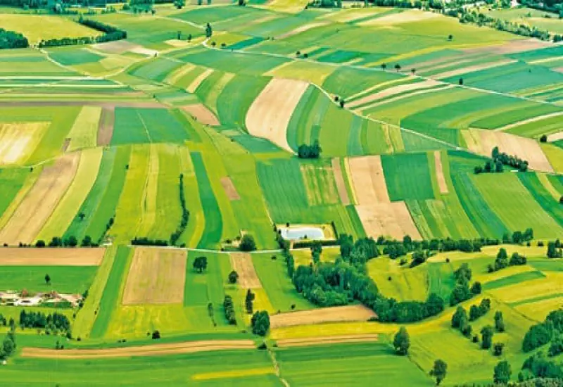Tarımda arazi reformu gerekiyor mu?